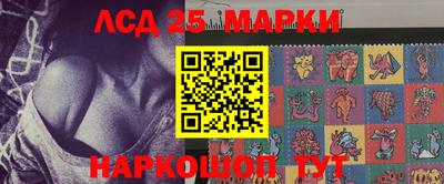 крисы Гай
