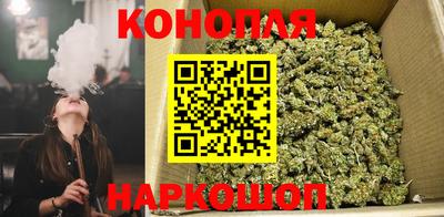 гашик Гагарин