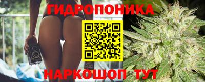 крисы Гай