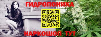 крисы Гай