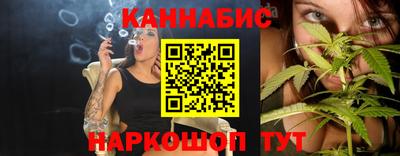 крисы Гай